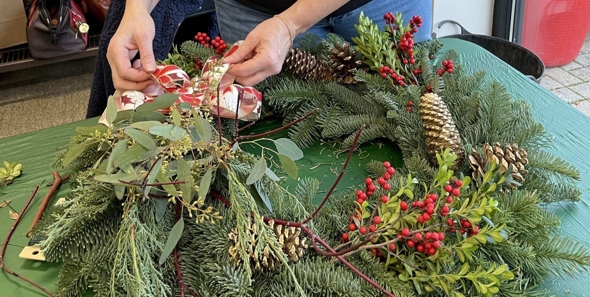 Programs & Events - Holden Arboretum