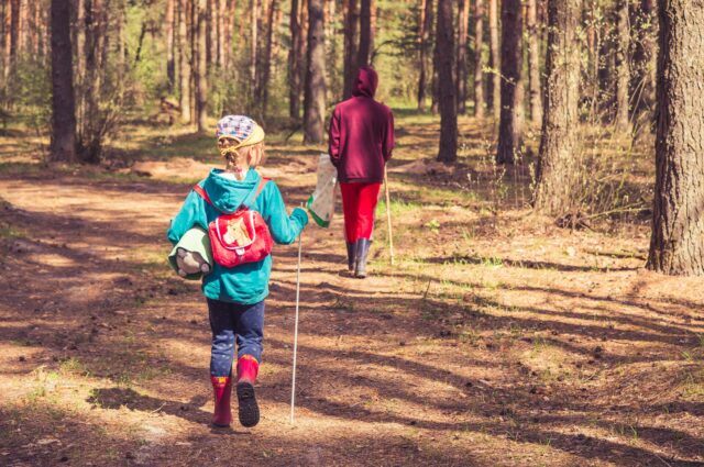 Self-Guided Junior Design with Nature